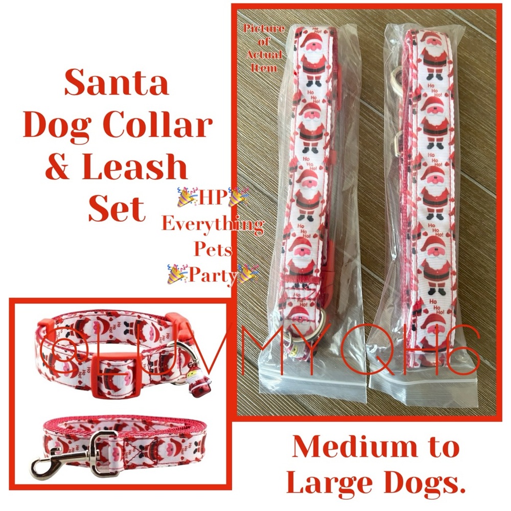Dog Collar & Leash Set 🎉HP🎉